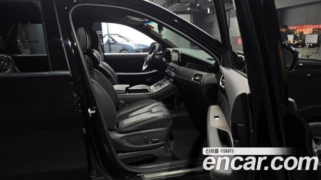 Hyundai 팰리세이드 - Опции