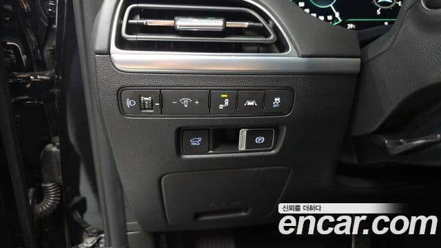 Hyundai 팰리세이드 - Опции