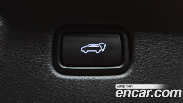 Hyundai 더 뉴 팰리세이드 - Опции