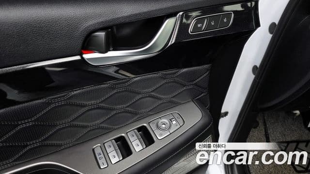 Hyundai 팰리세이드 - Опции