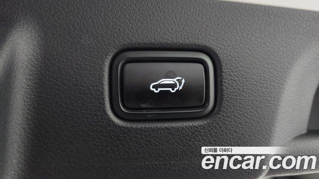 Hyundai 팰리세이드 - Опции