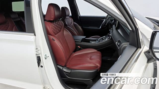 Hyundai 팰리세이드 - Опции