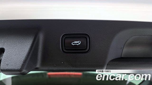 Hyundai 팰리세이드 - Опции