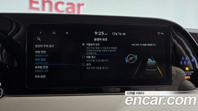 Hyundai 팰리세이드 - Опции