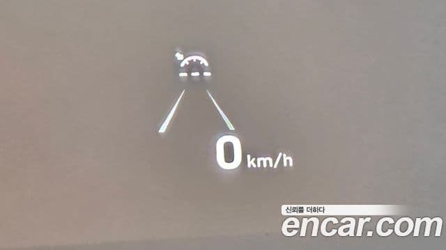 Hyundai 팰리세이드 - Опции