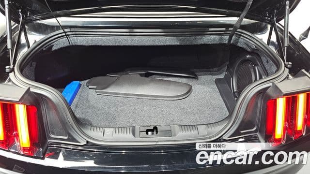 Ford 머스탱 - Опции